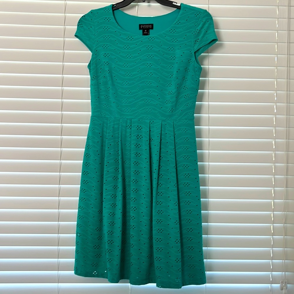 Enfocus Studio Shirt Sleeved Dress